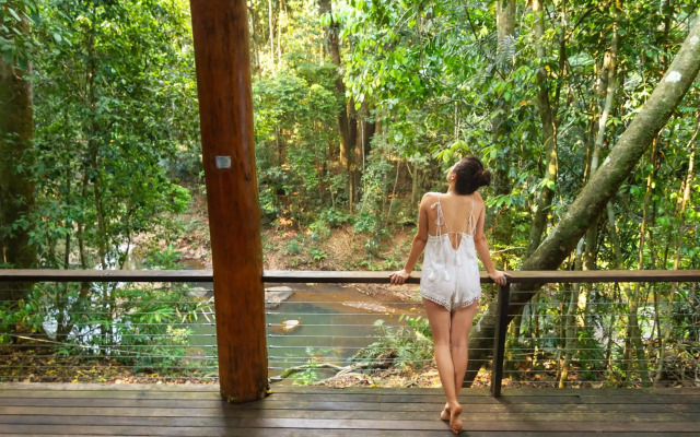 The Canopy Rainforest Treehouses and Wildlife Sanctuary