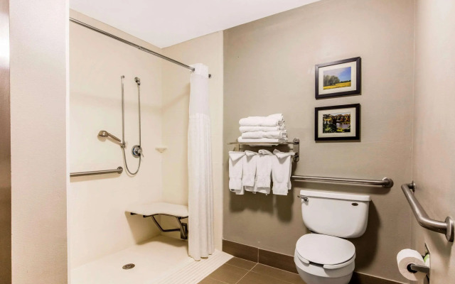 Comfort Suites Tuscaloosa near University