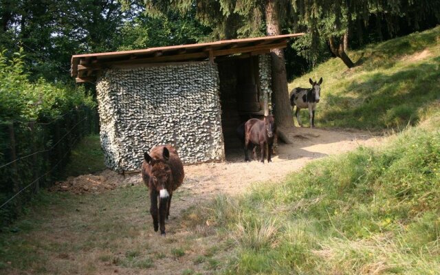 B&B La Casa Di Campagna