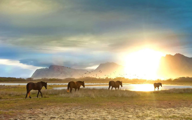 Mond Kleine Guest House