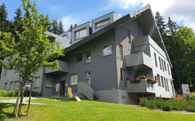 Apartmán B Harrachov
