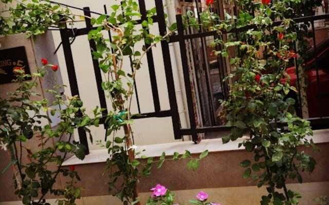 Amazing Kleopatra 200m Beach and 500m City Center