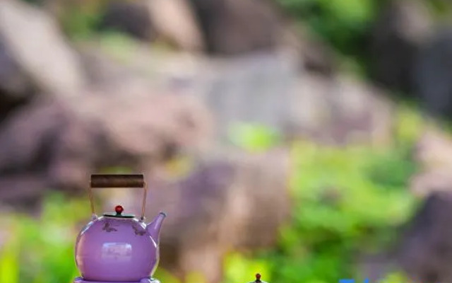 Xiufang Home Stay in Wuyi Mountain