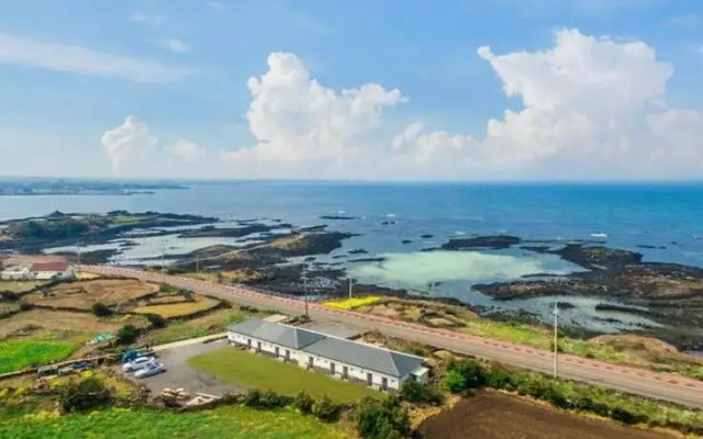 Jeju If you Meet a Dolphin in Jeju