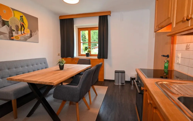 Schmitten 27 - Apartment 10 200m From ski Lift