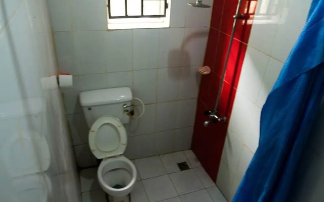 Latest D Hotel & Suites