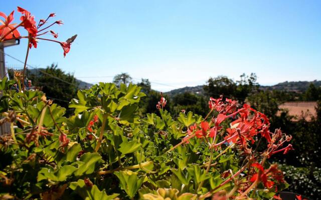 Il Pettirosso Agriturismo