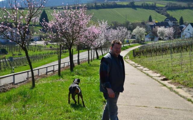 Hotel & Restaurant Castell