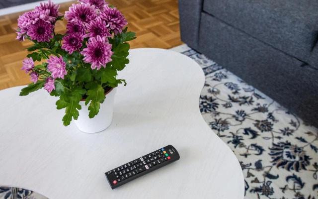 Mikkeli Citycenter apartment with sauna