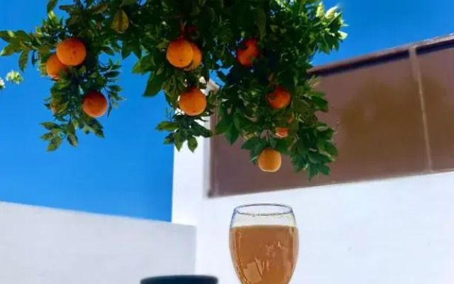 Casa da Oliveira
