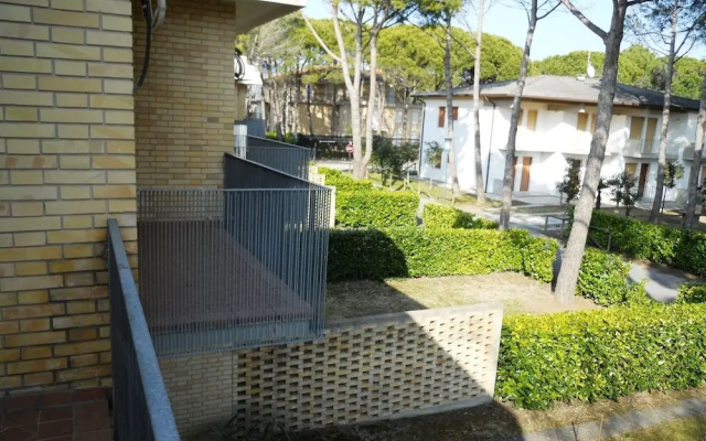 Ville Schiera