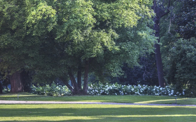 Villa Doria il Torrione