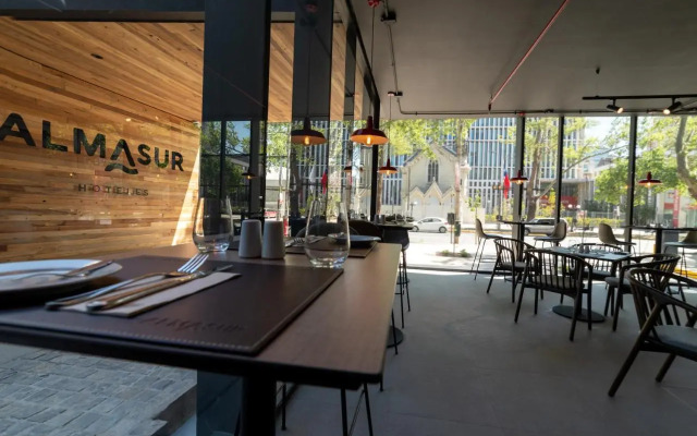 Hotel Almasur Providencia