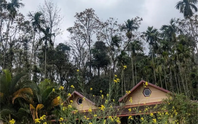 Hallibailu Homestay