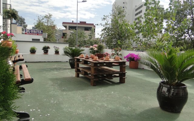 Hotel LEF