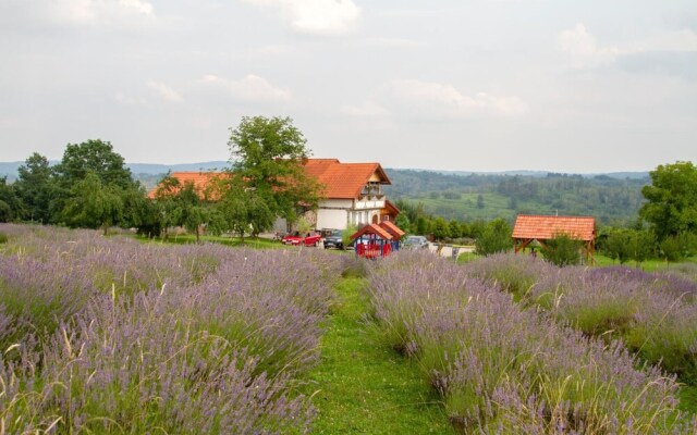 apartmani lavanda