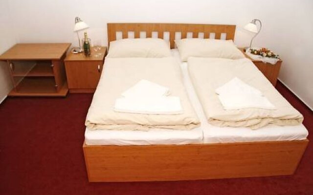 Hotel Allvet