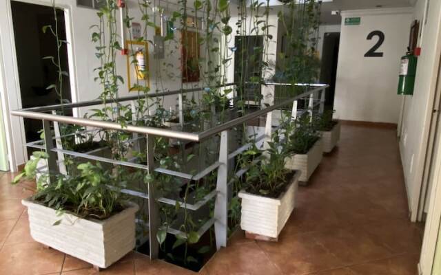 Hotel Picasso Inn