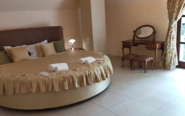 Ziola Polskie Miejsce Wydarzen