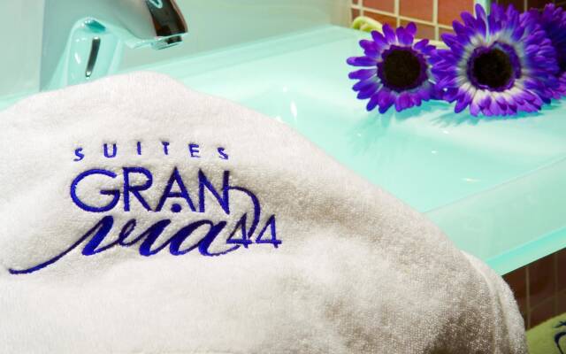 Suites Gran Via 44 Apartahotel