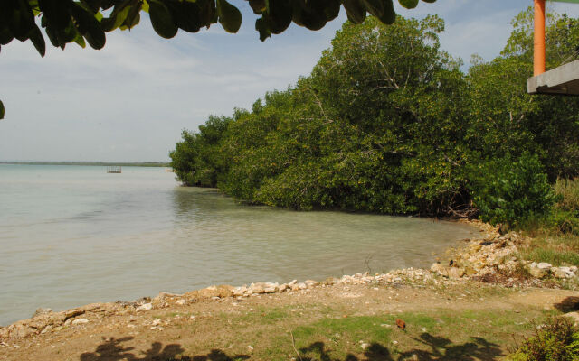 Bluefields on the Bay