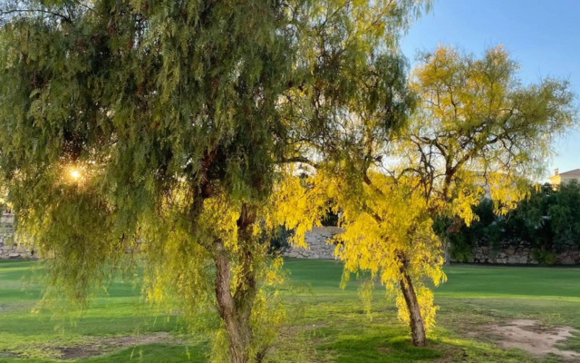 Maison Illeta Golf Bonalba