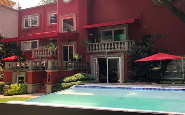 Pug Seal Coyoacan