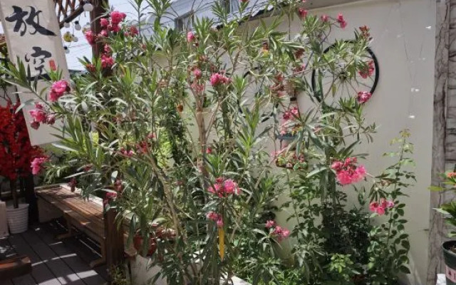 Yining Muzi Family Homestay