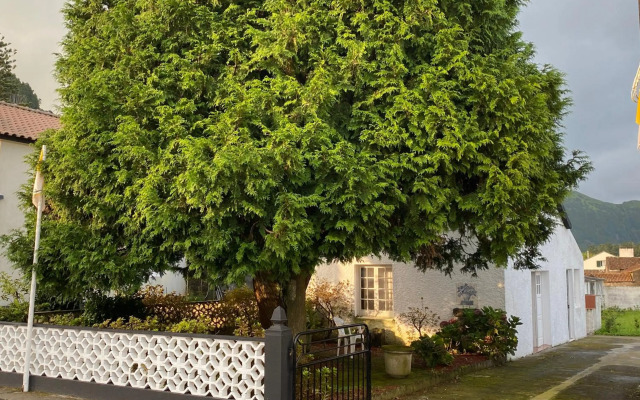 THE CEDAR TREE HOUSE Studio 48