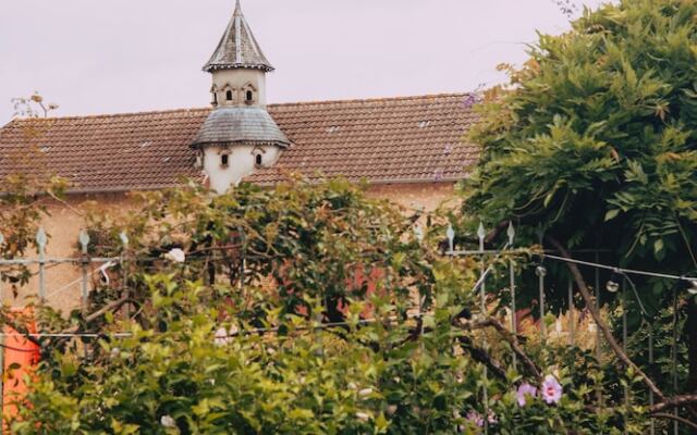 Le Lys Ecossais