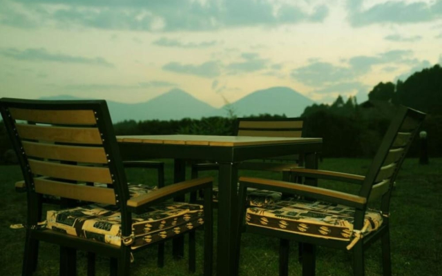 Da Vinci Gorilla Lodge