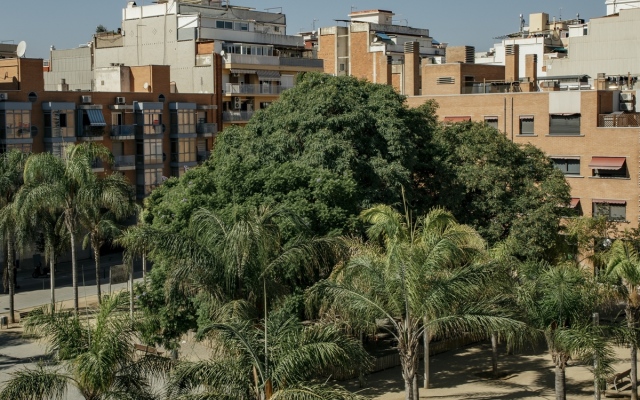 Europa Apartments