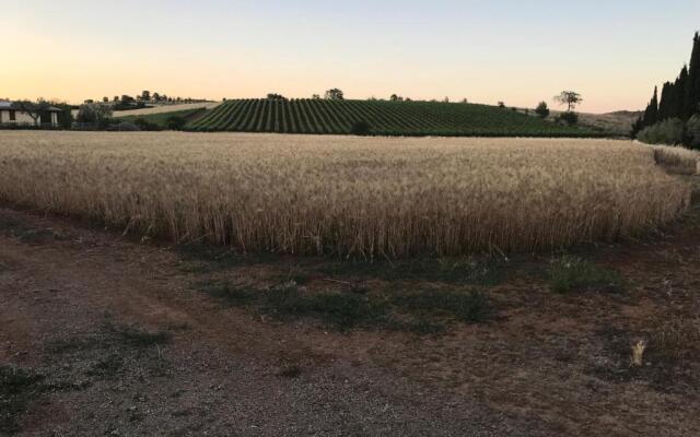 Il casale degli olivi