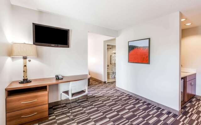 Microtel Inn & Suites by Wyndham Victor/Rochester