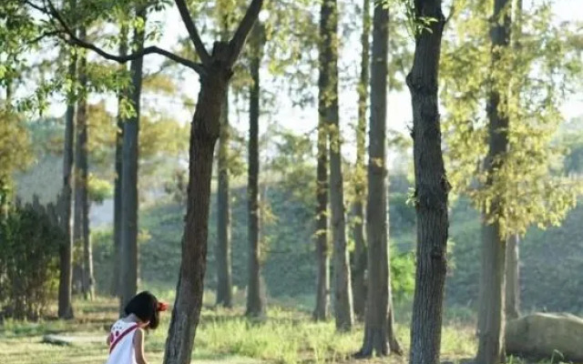 South Sanmin Cultural Theme Hotel