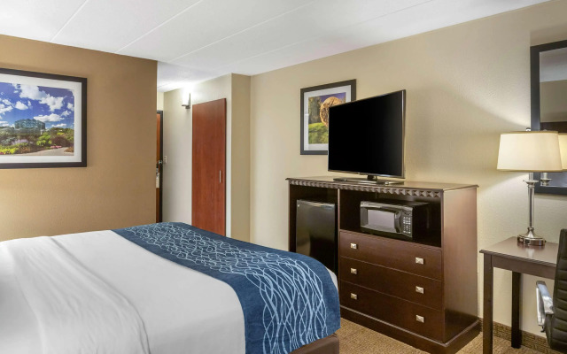 Comfort Inn Grand Rapids Airport