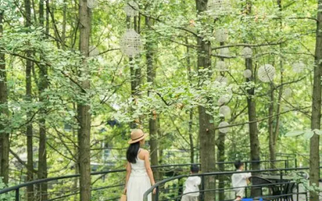 Qingcheng Mountain Suxi Qingshan Forest Homestay