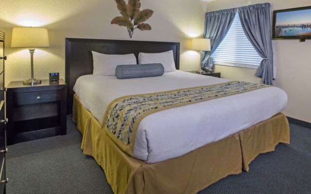 Tampa Waterfront 40977