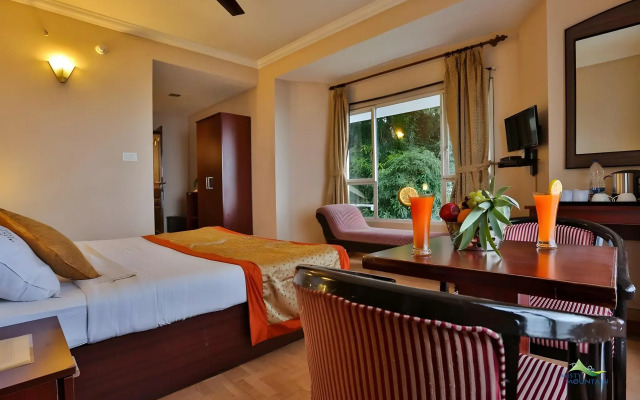 Misty Mountain Resort