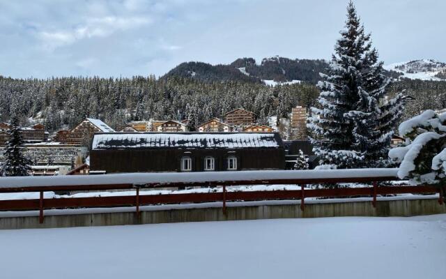 Sapin rouge B37