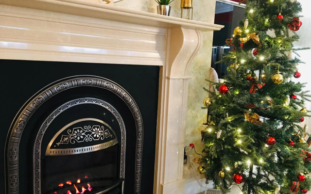 The Little Beech Tree