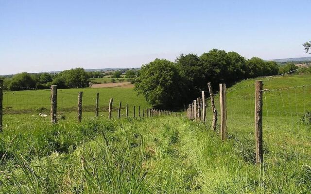 Cabane dans les Arbres - Tree House