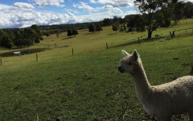 Honeycomb Valley Farm