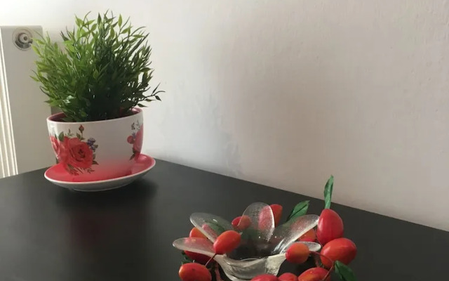 Central Luxury Apartment