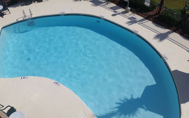 The Palms