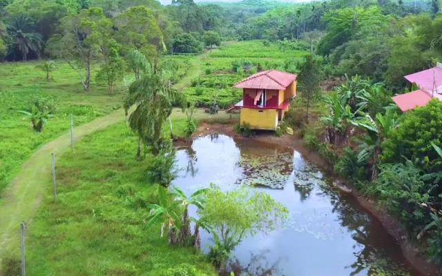 Manikgoda Tea Paradise