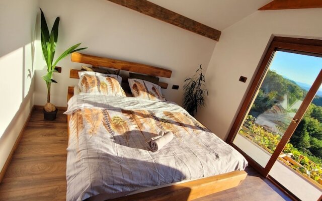 Vineyard cottage Soncni gric