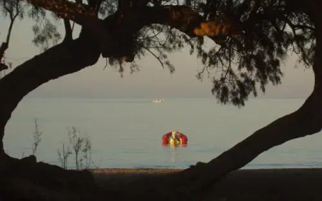 Surf Beach Apartments