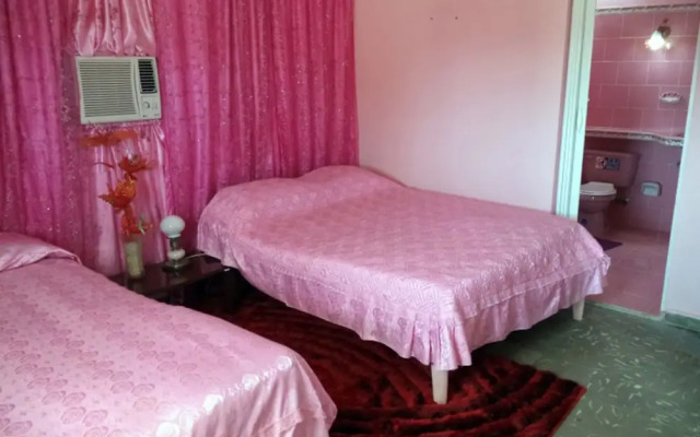 Aleida House