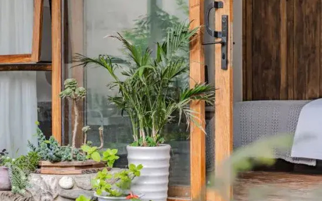 Dali Lingdaojiu Homestay (Dali Ancient Town Branch)